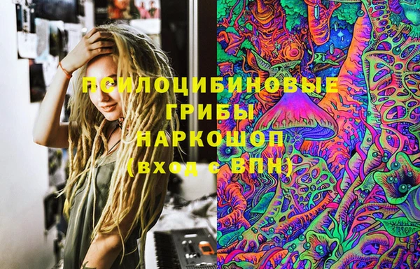 прущий лед Алзамай