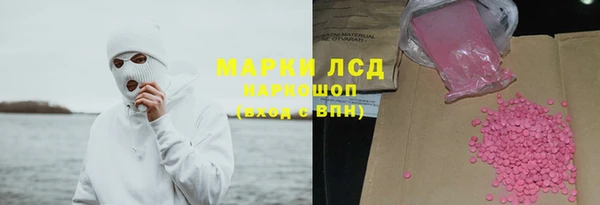прущий лед Алзамай