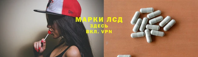 ПСИЛОЦИБИНОВЫЕ ГРИБЫ Алексеевка