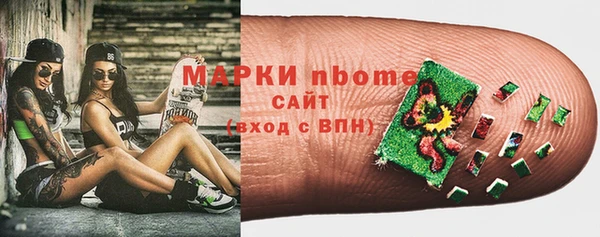 прущий лед Алзамай