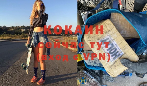 прущий лед Алзамай