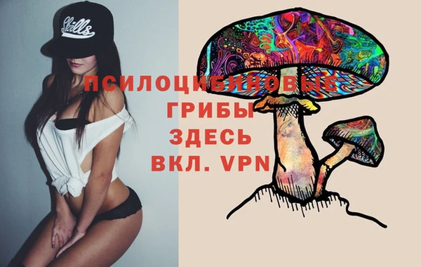 прущий лед Алзамай