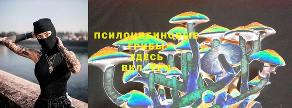 прущий лед Алзамай