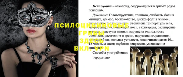 кокс Алексин