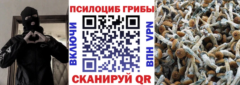 Галлюциногенные грибы Psilocybe  Купить где  Щёлкино 